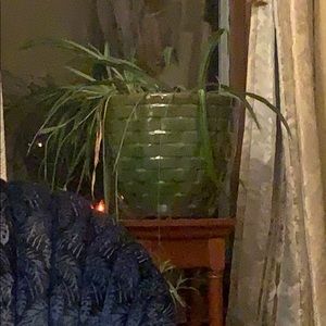 Meet your Posher, Greg